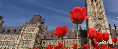 Liberal Senate Forum - Forum des sénateurs libéraux