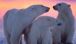 25 mars 2015—Les revendications canadiennes de l’Arctique