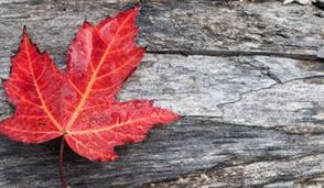 Viser plus haut : Augmenter le bilinguisme de nos jeunes Canadiens